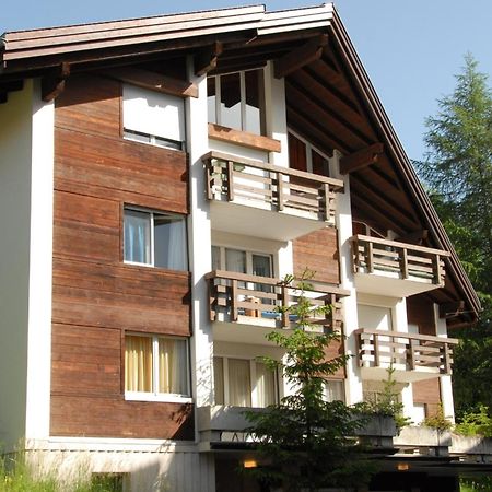 Charming And Cosy Apartment Mürren Dış mekan fotoğraf
